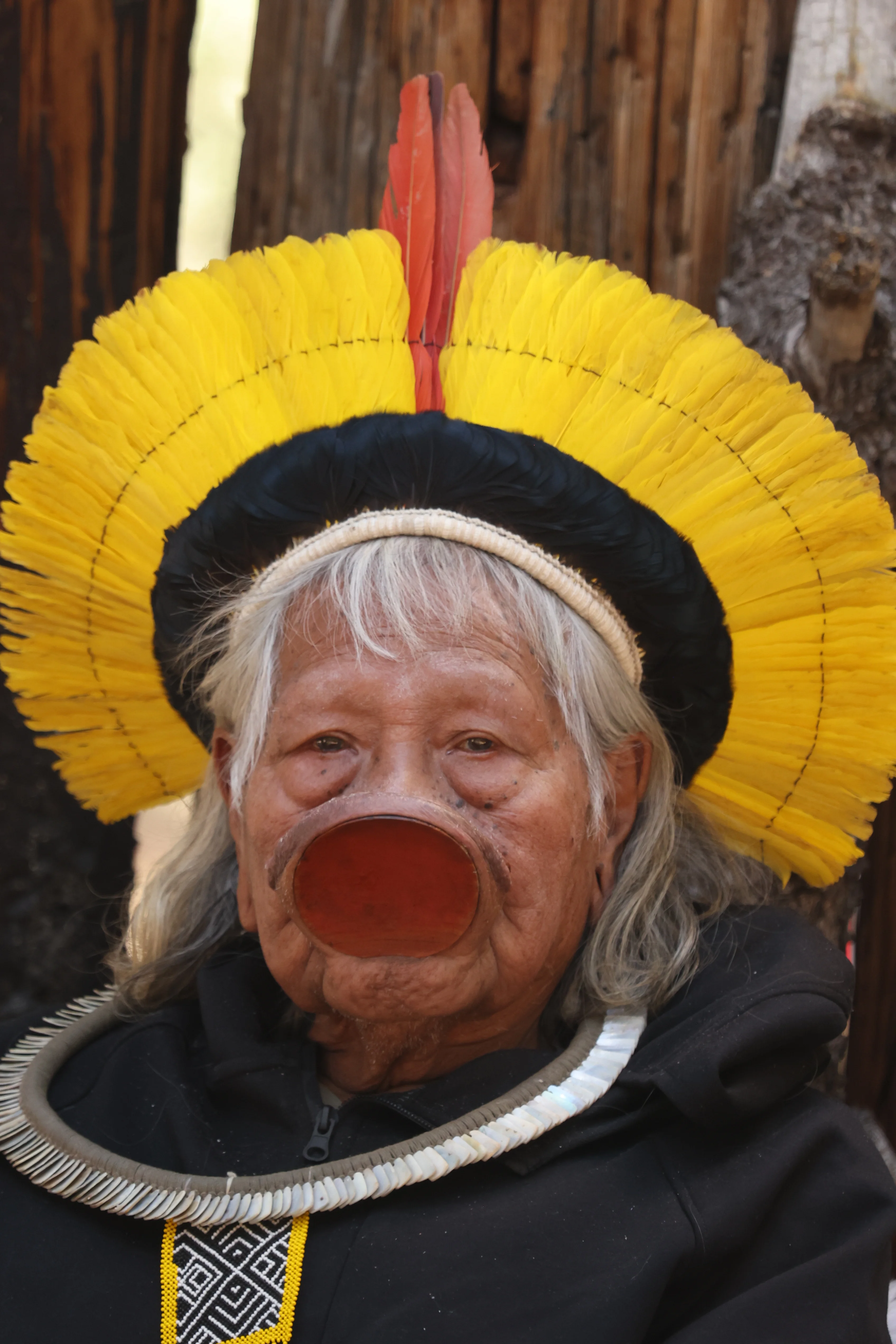 Chief Raoni Metuktire, Kayapó