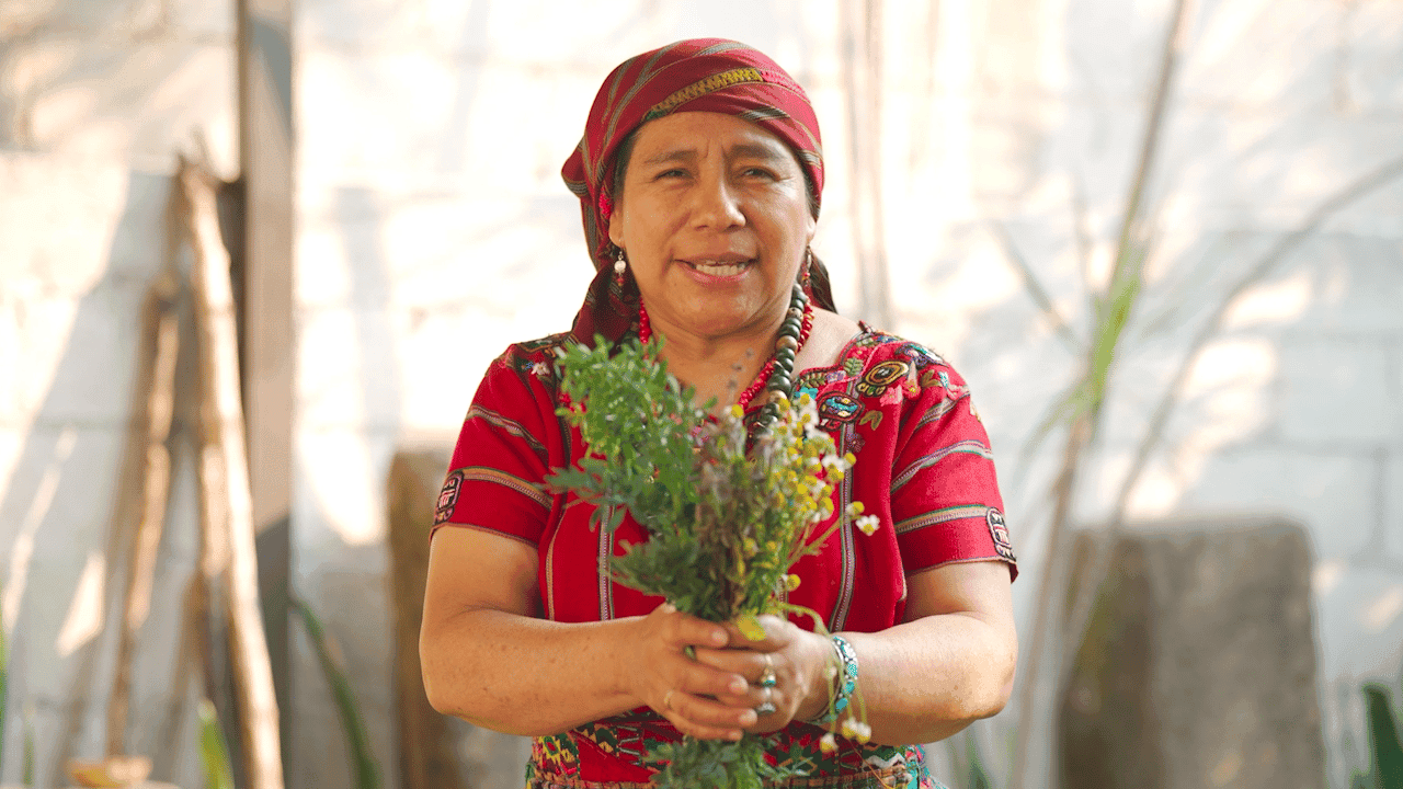 Nana Amalia Tum Xinico, Maya Kaqchiquel healer with sacred plants