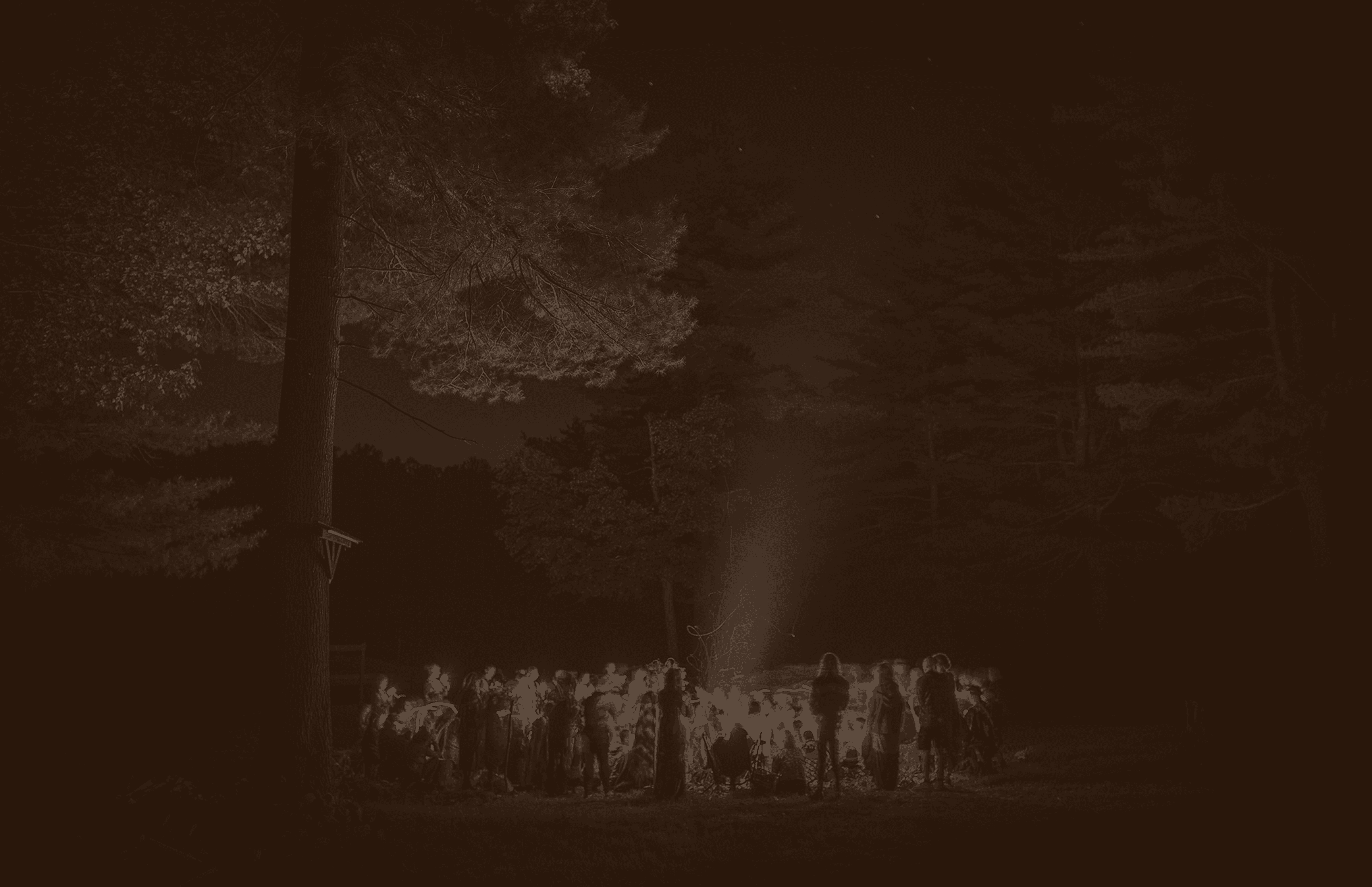 Seeker Background