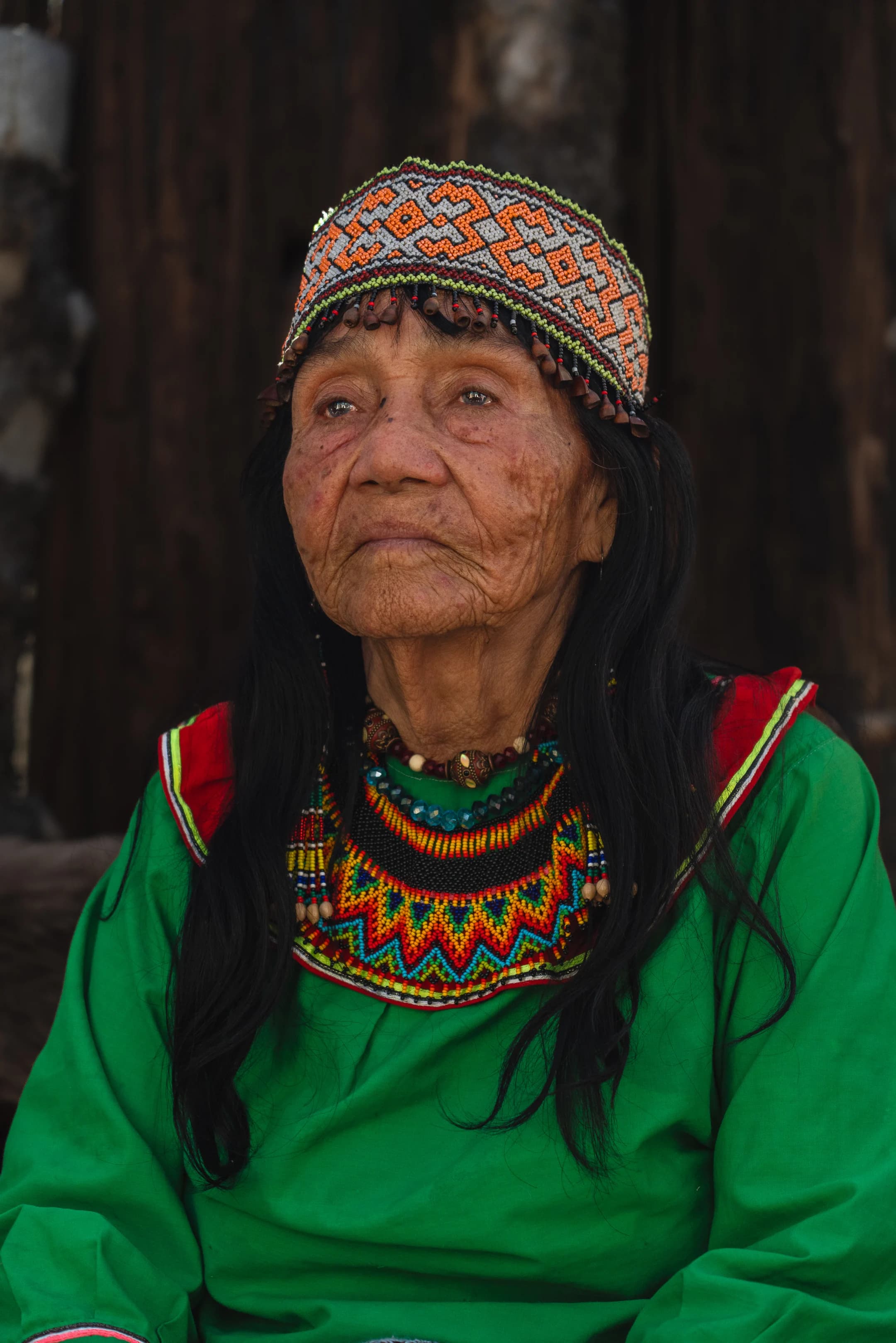 Maestra Ynes Sanchez Gonzalez, Shipibo