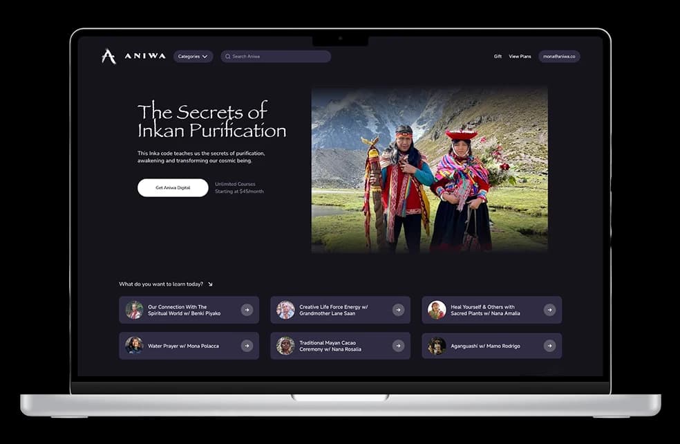 Aniwa desktop app preview