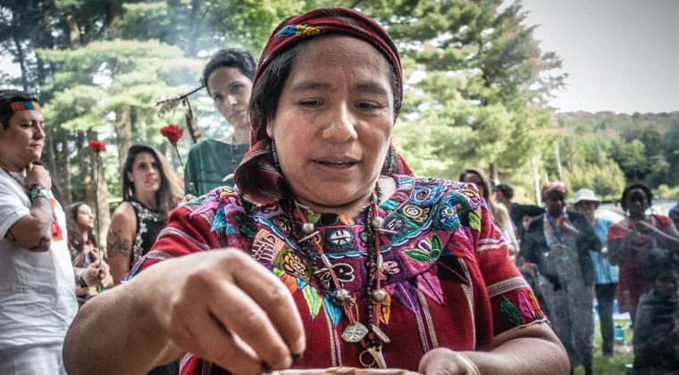 Connection & Healing with The Elements That Give Us Life