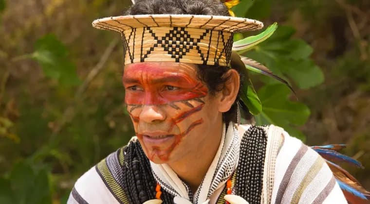 Kamarampi (Ayahuasca) A Sacred Plant of Consciousness
