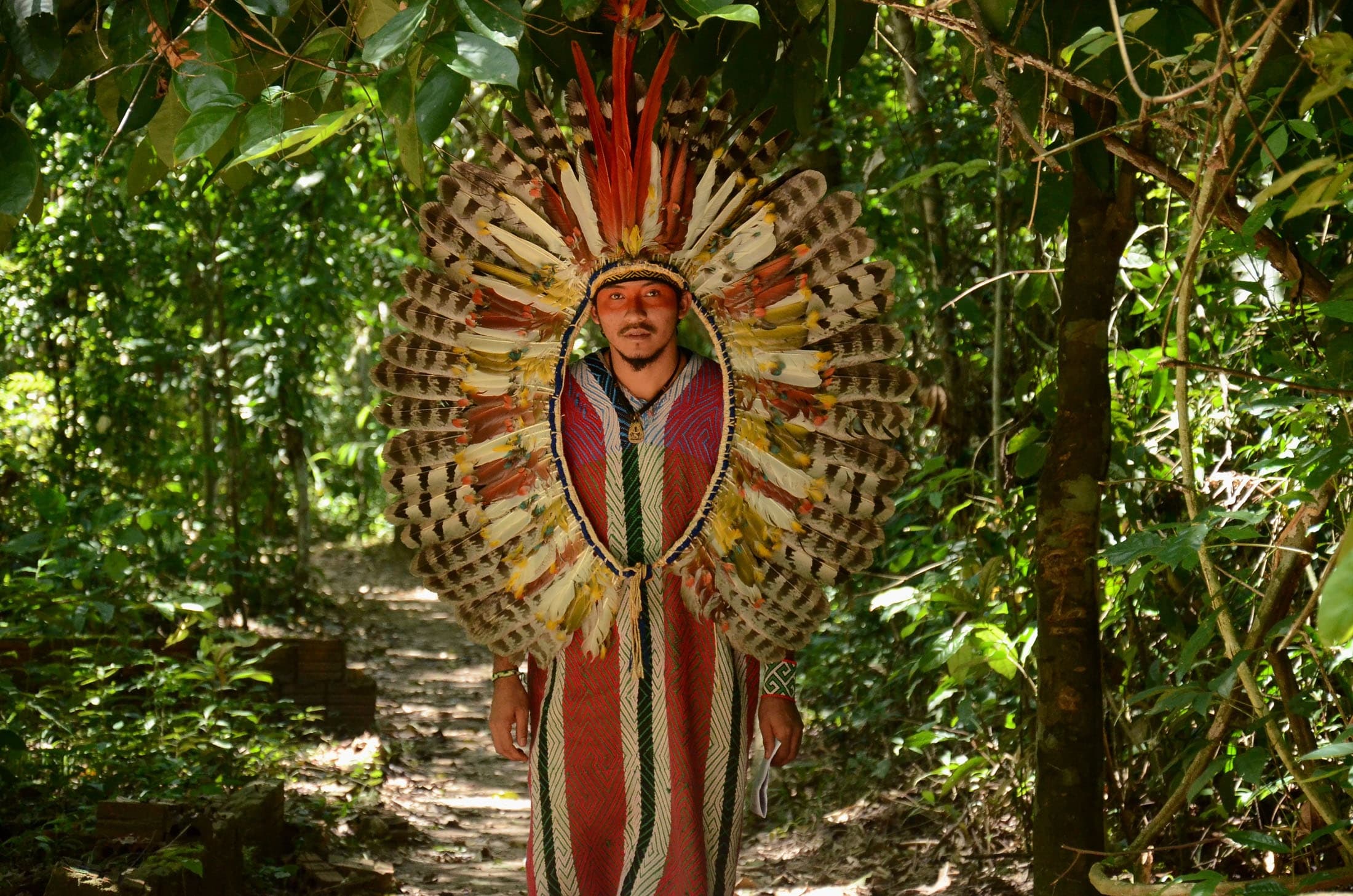 Sacred Teacher Plants & Healing Prayers